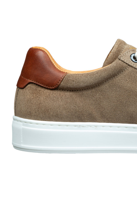 Taupe suède Barossa sneaker