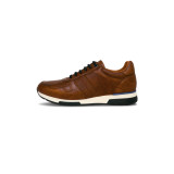 Licht cognac
