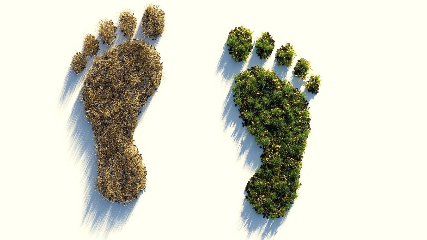 ecological-footprint-4123696_1920-jpg__1920x1000_q85_subsampling-2